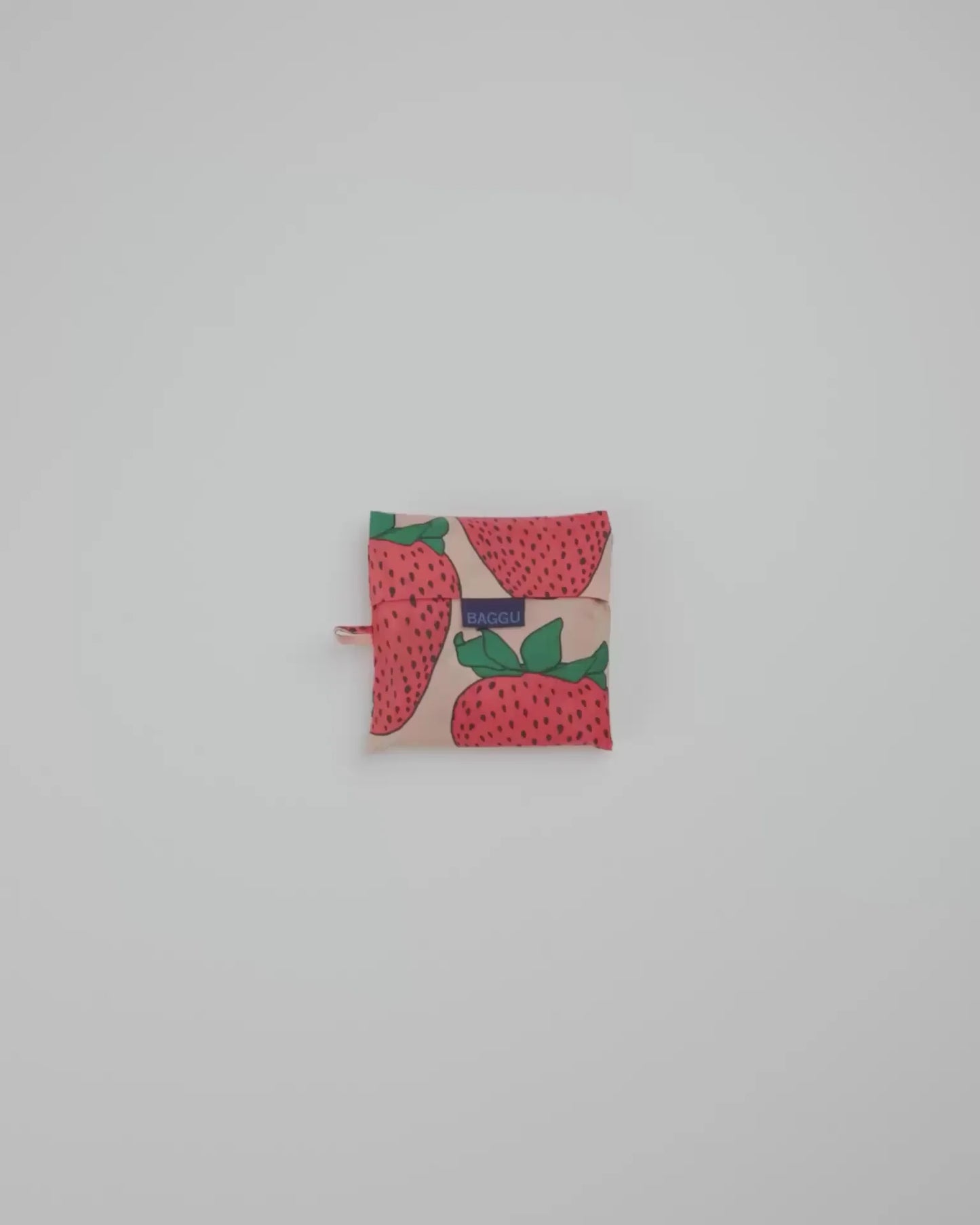BIG BAGGU - US 1348