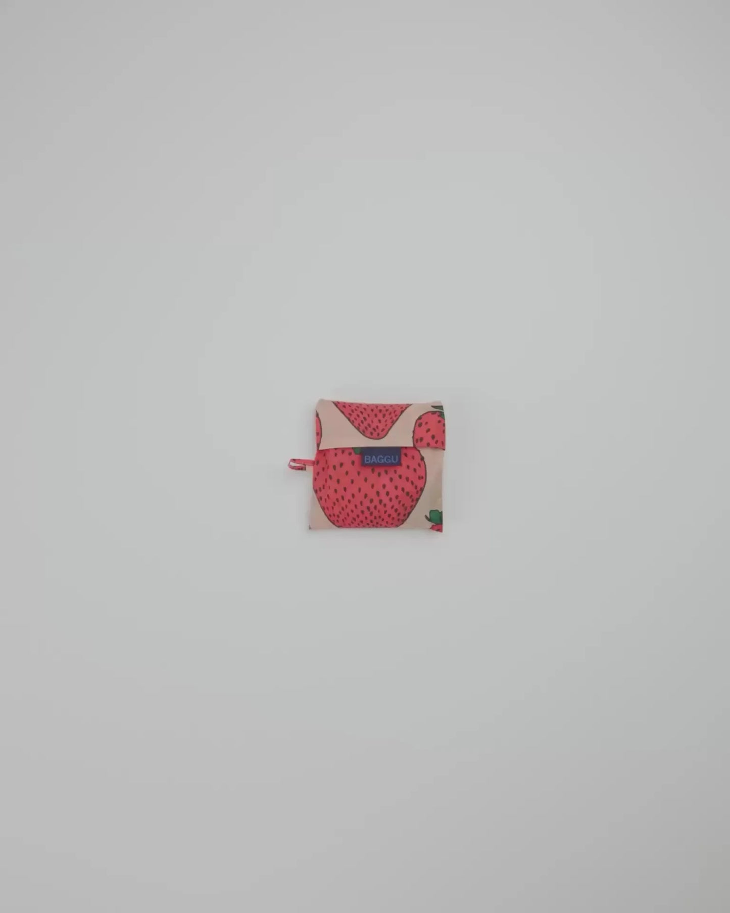 STANDARD BAGGU - US 2052